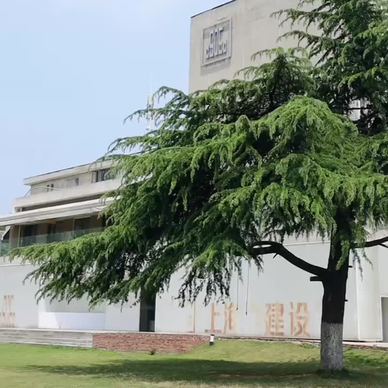 可愛雲朵 卧室床边毯 长条加厚地毯 - 地垫/地毯 - 其他人造纤维 绿色