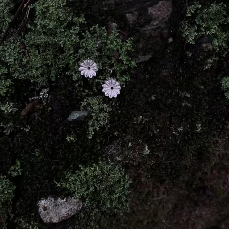 KUÂN KUÂN 绿植系列 罂粟花耳环 纯银 - 耳环/耳夹 - 纯银 银色