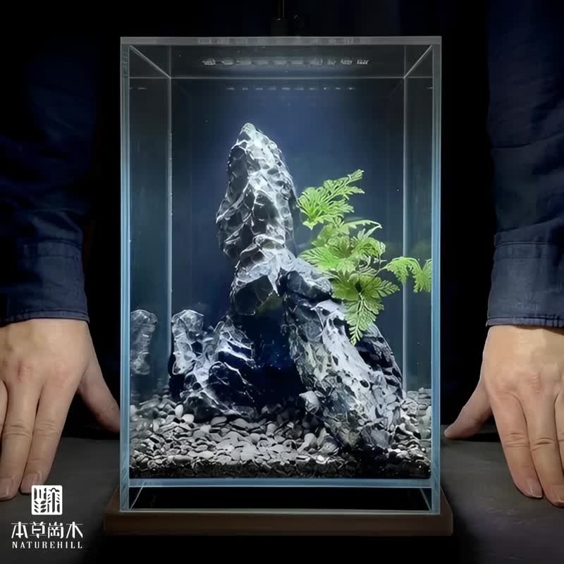 空山之静  / 定制化微景观生态缸 - 青龙石 - 植栽/盆栽 - 石头 