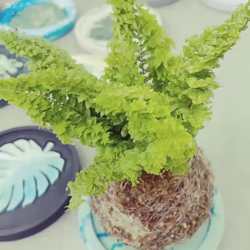 苔球与水泥杯垫课程 - 其他 - 其他材质 