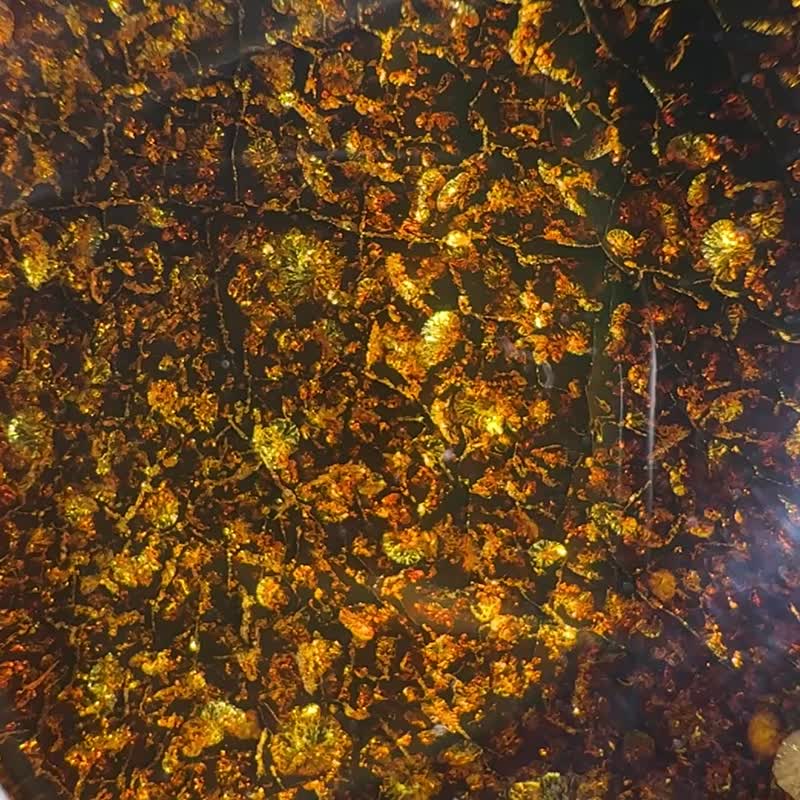 精致的黄金琥珀吊坠 闪闪发光的天然乌克兰珠宝   独特的手工艺 - 项链 - 半宝石 金色