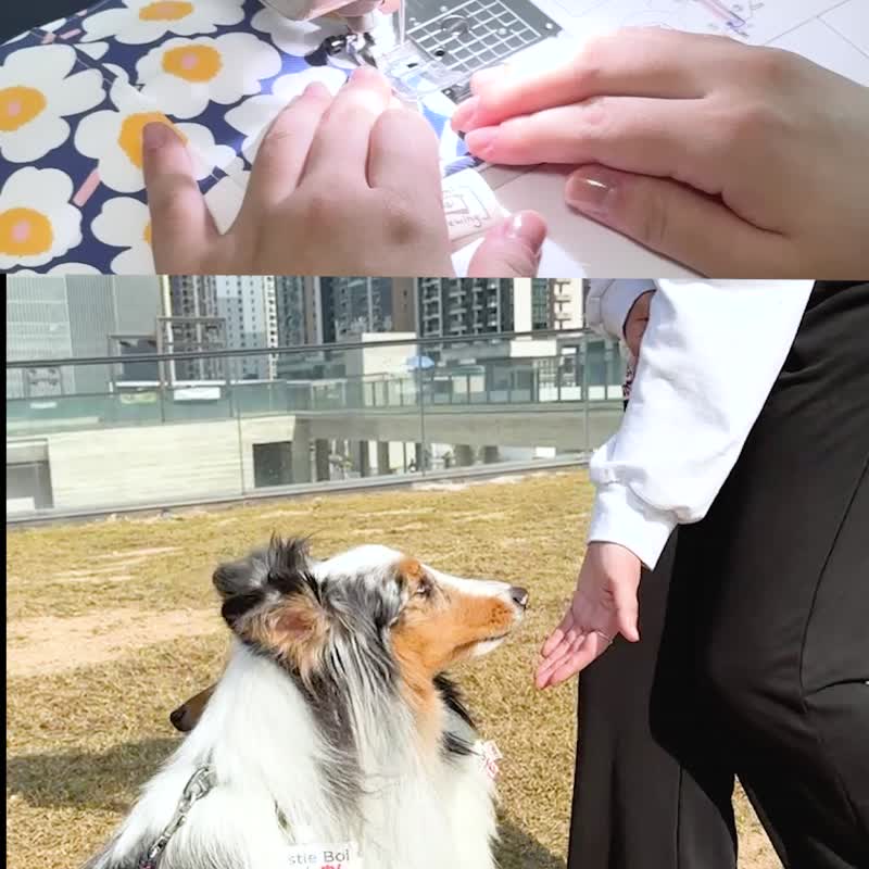 随身宠物零食袋(连零食) | 丛林鸭仔 - 订制抱枕/饰品 - 防水材质 绿色