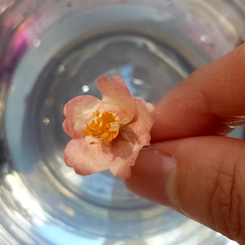 一枚遇水即化的戒指 櫻花 - 戒指 - 树脂 粉红色