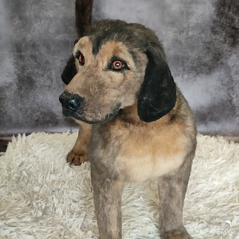 逼真狗人造毛绒动物软雕塑艺术娃娃 OOAK 软毛绒 - 玩偶/公仔 - 其他材质 咖啡色