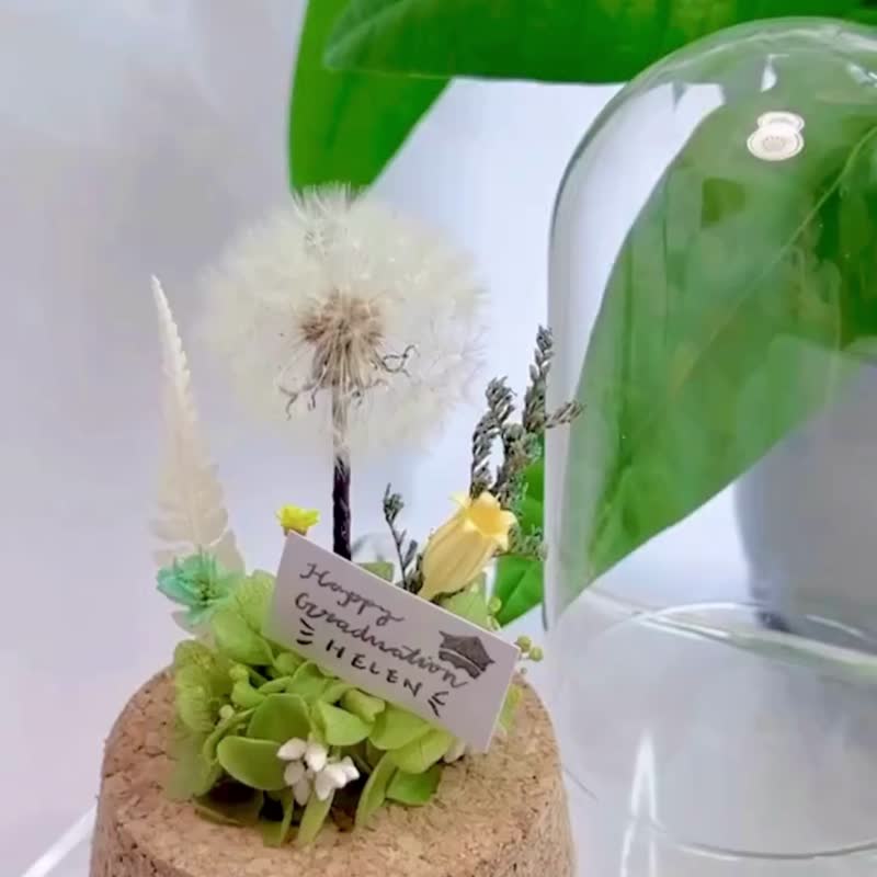 蒲公英永生花玻璃罩 永生花玻璃罩 毕业礼物 情侣礼物 纪念日 - 干燥花/捧花 - 玻璃 绿色