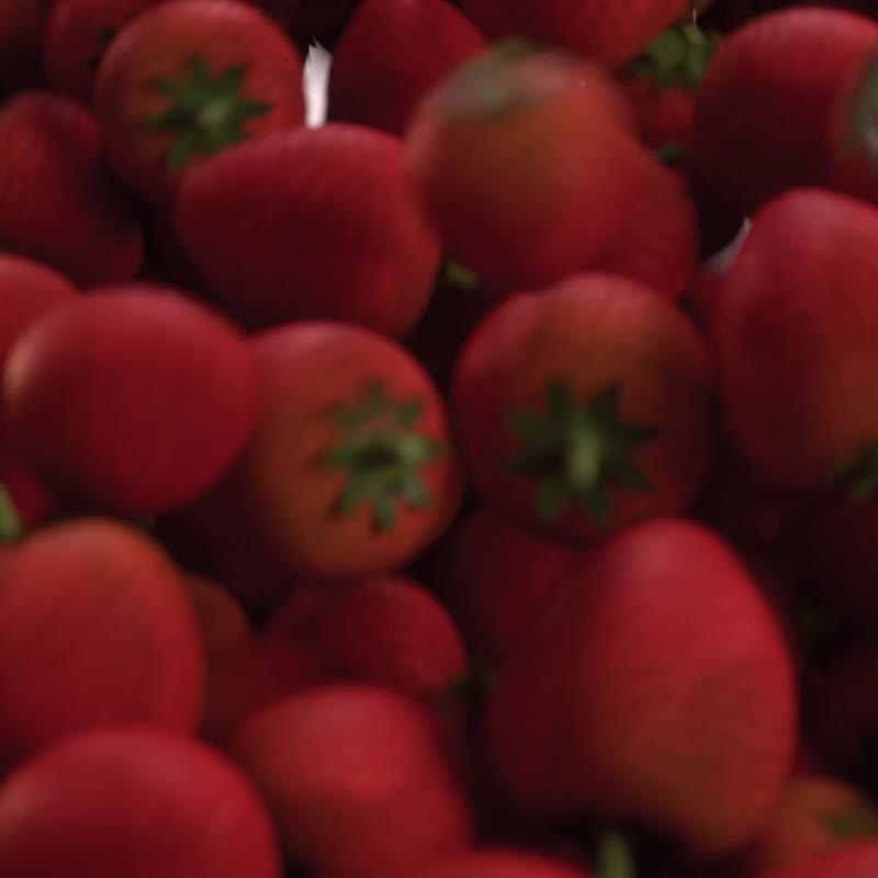 nemowater 香氛滤芯 24种香味 - 香薰/精油/线香 - 其他材质 