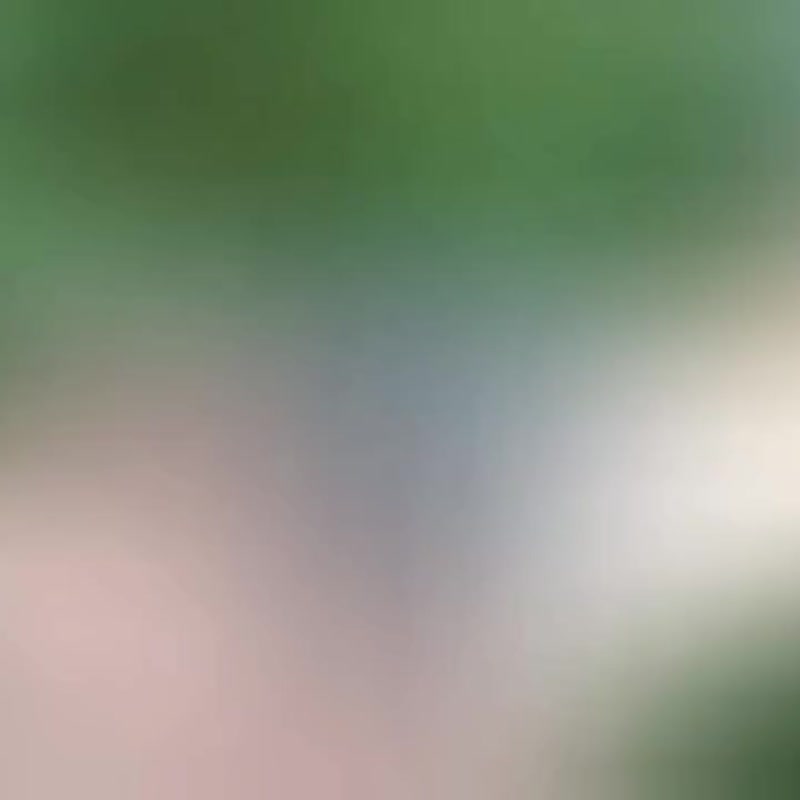 Bird&Bone 发簪 03 100% 手工制作，聚合物黏土材质 - 发饰 - 其他材质 灰色