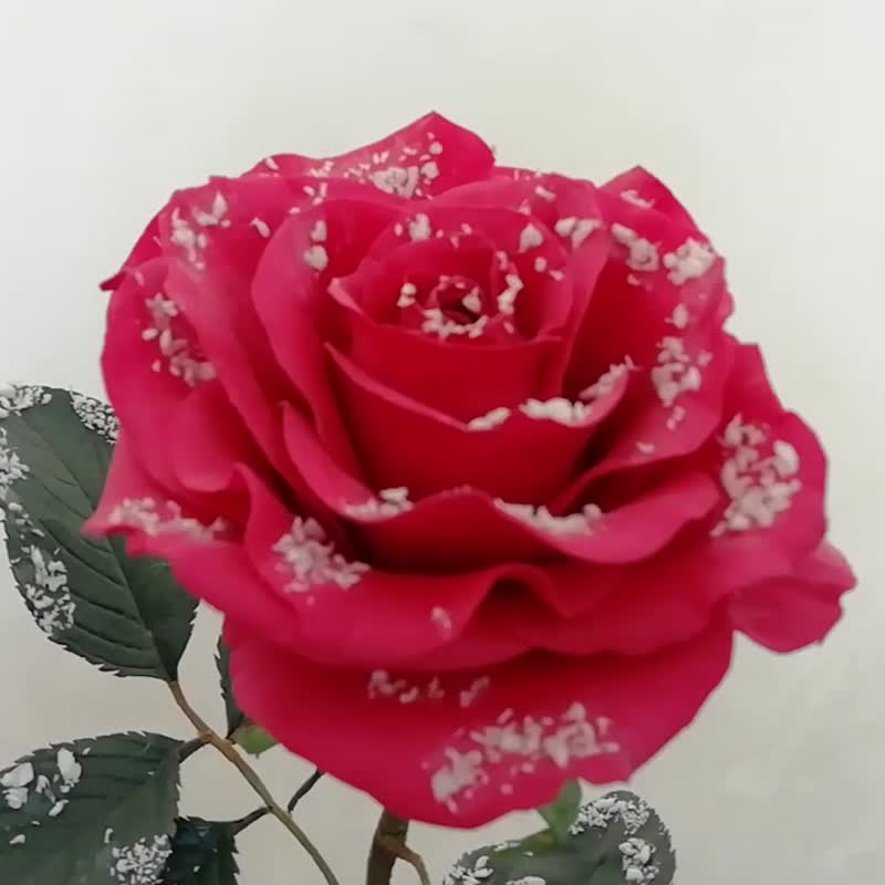 Artificial flower red rose. Handmade single snow rose. Winter home decor 紅玫瑰花 - 摆饰 - 其他材质 红色