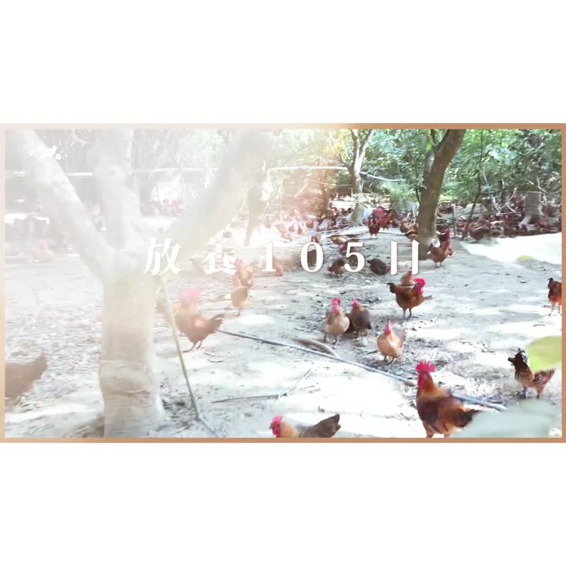 【快速出货】冷冻 | 美颜滴鸡精12入 / 65ml 孕妇送礼 养生保健 - 健康/养生 - 浓缩/萃取物 白色