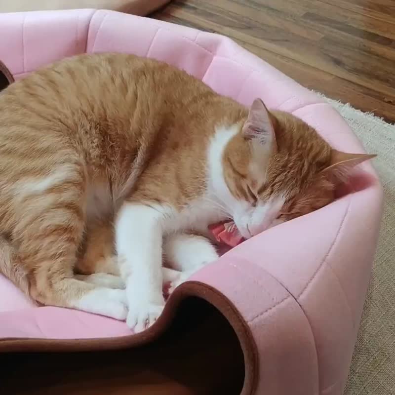 躲猫猫 - 隐密型猫窝 微风般的你 适合多猫家庭 猫咪游戏间 - 床垫/笼子 - 其他人造纤维 白色