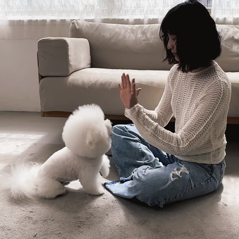 项链 定制化宠物鼻纹 掌纹 人类指纹 纪念吊坠 专属压印纪念饰品 - 订制抱枕/饰品 - 纯银 银色