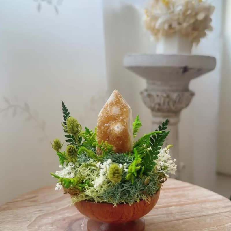 能量 焦糖黄水晶柱 。 微景观永生叶材 绿植栽 - 植栽/盆栽 - 水晶 黄色