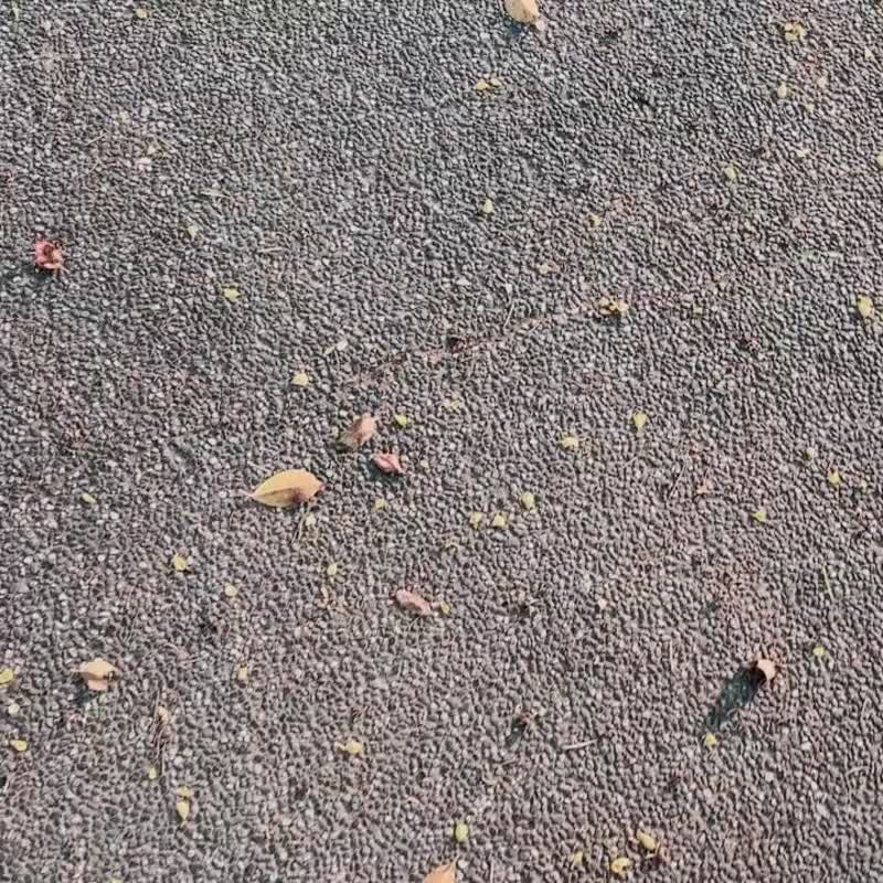 日桧木汤匙雕刻组 - 木工/竹艺/纸艺 - 木头 卡其色