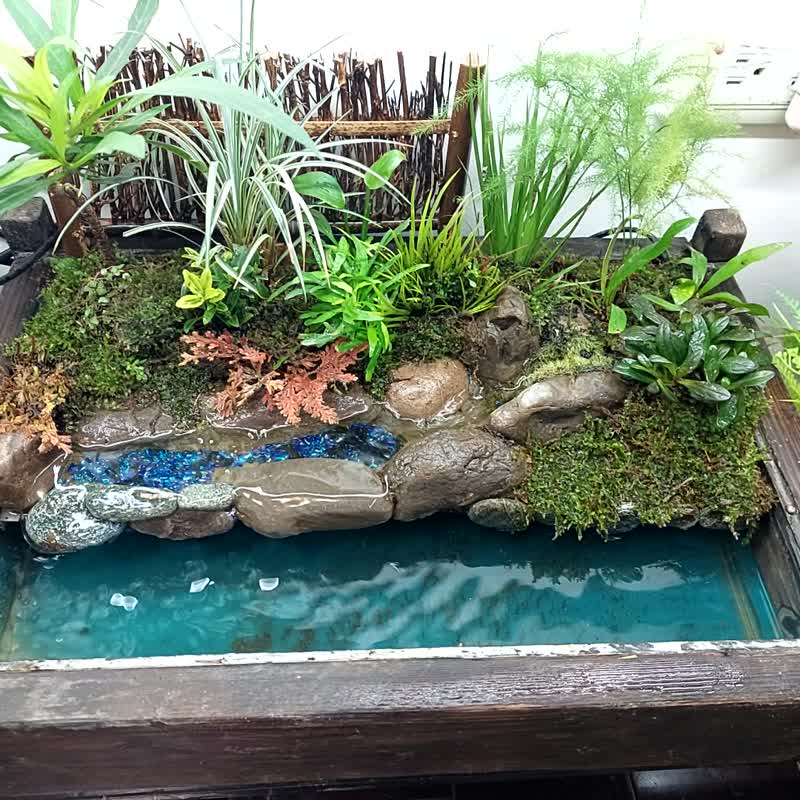 绿头鸭池塘戏水盆景 - 植栽/盆栽 - 玻璃 